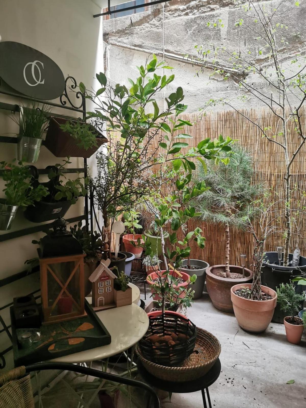 La Maison D'Aromarie Tournus Luaran gambar